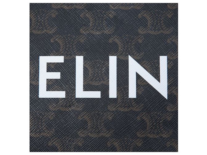 Céline Clutch Celine Small Triomphe de lona revestida marrón Castaño Marrón oscuro - vista 5