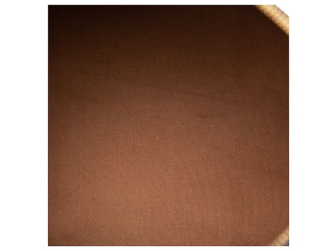 Louis Vuitton Brown Monogram Speedy 30 Marrone - vista 4
