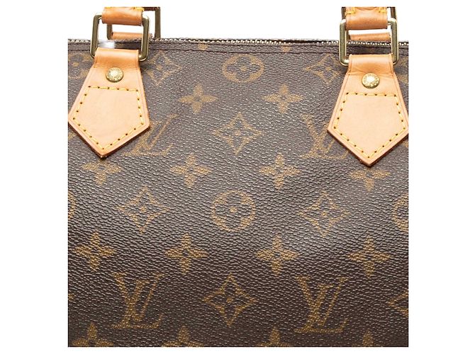 Louis Vuitton Brown Monogram Speedy 30 Marrone - vista 6