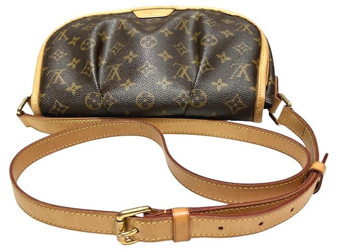 Borsa a tracolla Louis Vuitton Menilmontant PM Marrone - vista 9