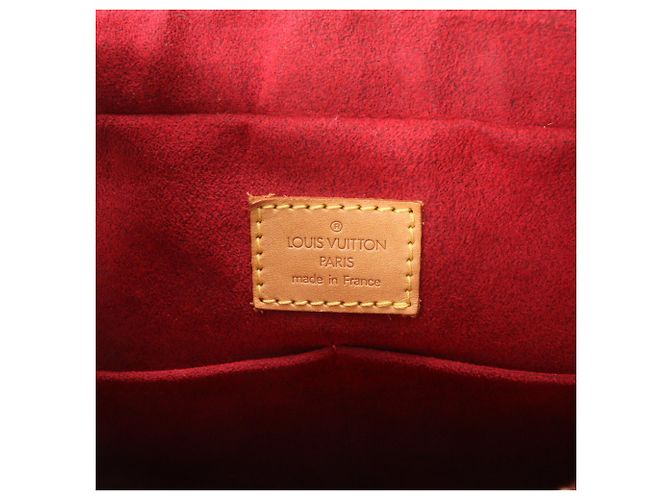 Borsa Tote Louis Vuitton Monogram Multipli Cite Marrone - vista 9
