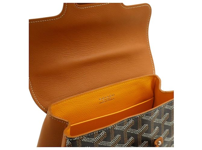 Borsa a mano Goyard Saigon Mini Multicolore - vista 6