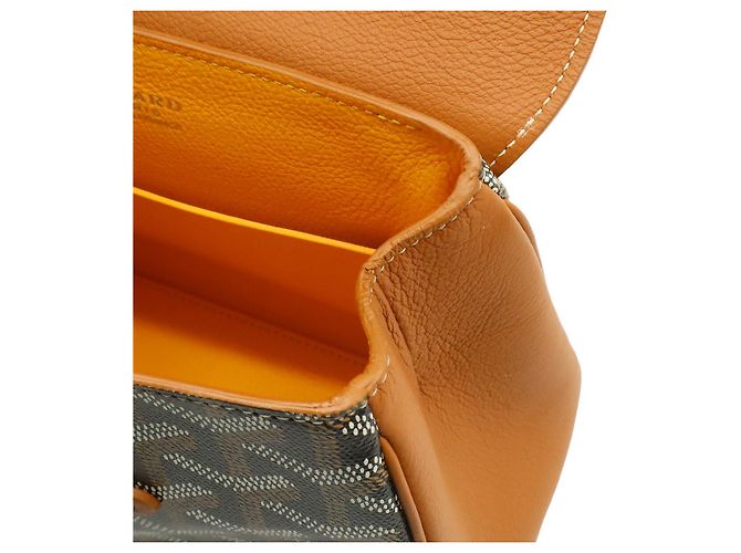 Borsa a mano Goyard Saigon Mini Multicolore - vista 8