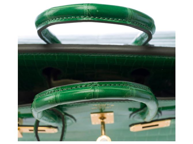 Hermès Borsa HERMES Birkin 25 in Pelli esotiche Verde - 103879 - vista 10