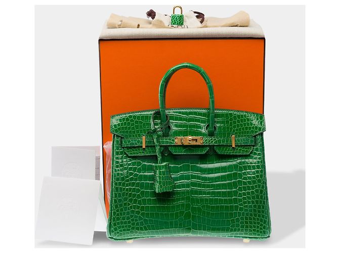 Hermès Borsa HERMES Birkin 25 in Pelli esotiche Verde - 103879 - vista 2