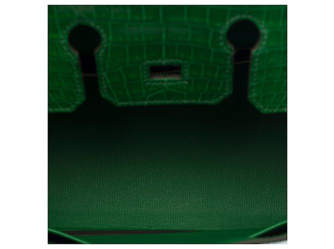 Hermès Borsa HERMES Birkin 25 in Pelli esotiche Verde - 103879 - vista 9