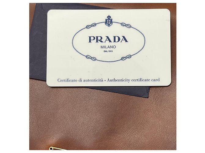 Borsa a tracolla Prada in pelle di vitello Antik Soun Cuoio Ebano marrone con placca logo - vista 9