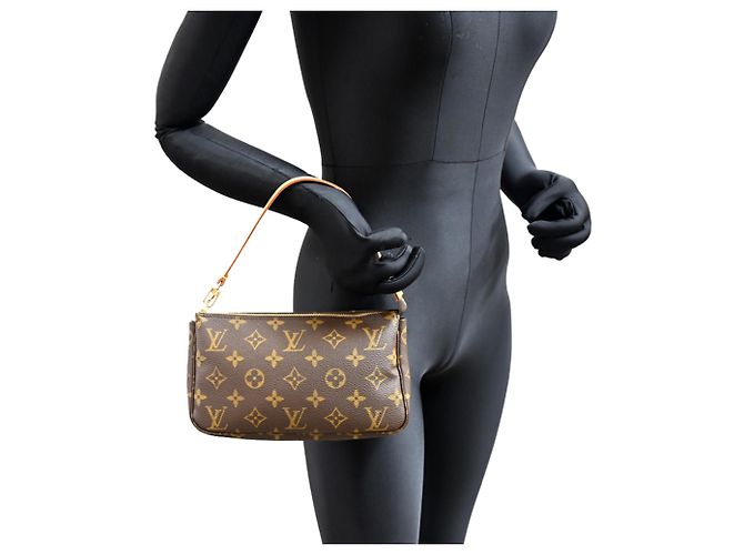 Louis Vuitton Pochette Accessoires Shoulder Bag Marrone - vista 9