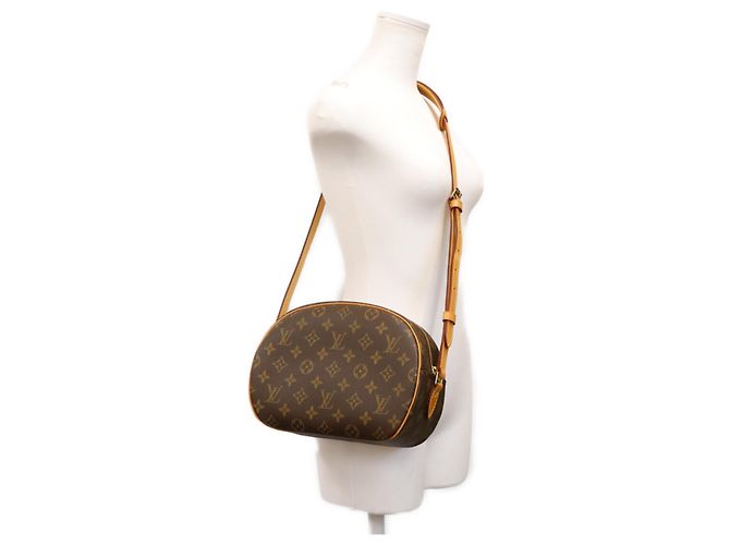 Borsa a tracolla Louis Vuitton Monogram Blois Marrone - vista 15