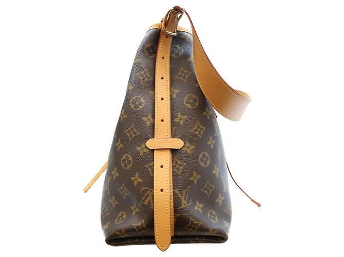 Borsa Tote Louis Vuitton Monogram Carryall NM MM Marrone - vista 4