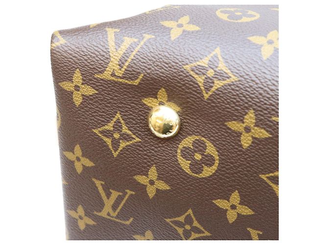 Borsa Tote Louis Vuitton Monogram Carryall NM MM Marrone - vista 7