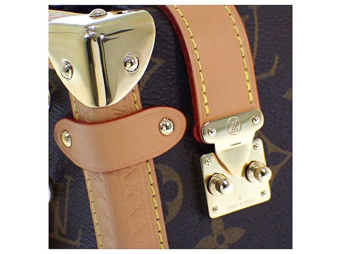 Louis Vuitton Brown Monogram Side Trunk PM Marrone - vista 10