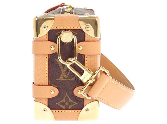 Louis Vuitton Brown Monogram Side Trunk PM Marrone - vista 5