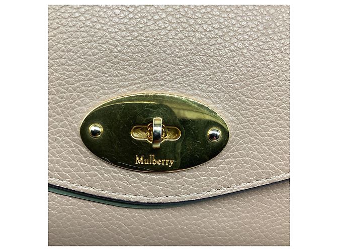 Borsa a tracolla Mulberry Small Darley in pelle Nude Marrone Carne - vista 14