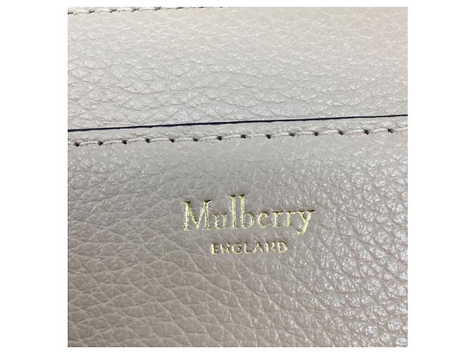 Borsa a tracolla Mulberry Small Darley in pelle Nude Marrone Carne - vista 9