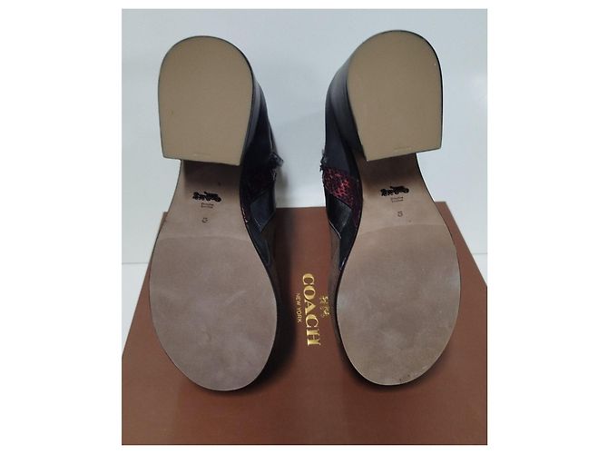 Botines Coach de plataforma y tacón ancho Castaño Negro Metálico - vista 4