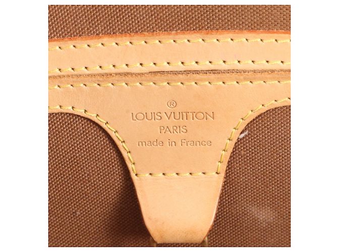 Borsa Shopping Louis Vuitton Monogram Ellipse Marrone - vista 8