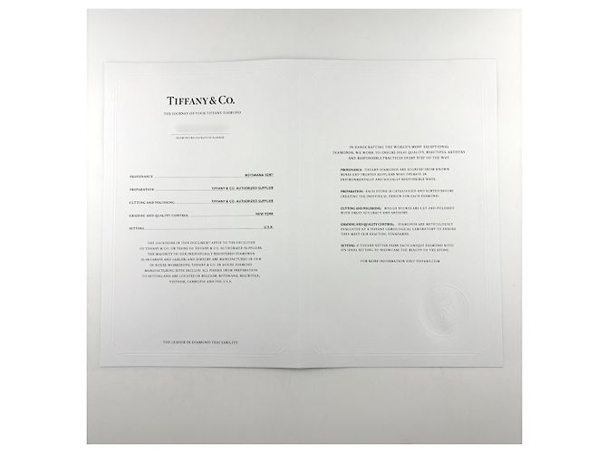 Autre Marque Tiffany & Co. Solitärring aus Platin - Ansicht 10