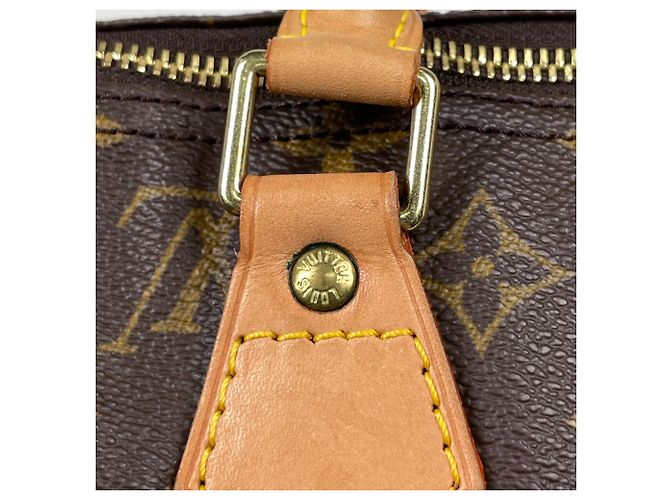 Borsa a mano Louis Vuitton Speedy 40 Marrone - vista 4