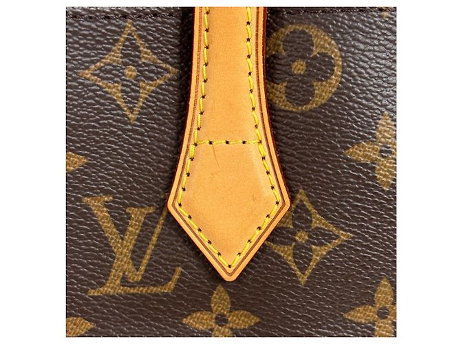 Borsa Tote Louis Vuitton Wilshire PM Marrone - vista 4