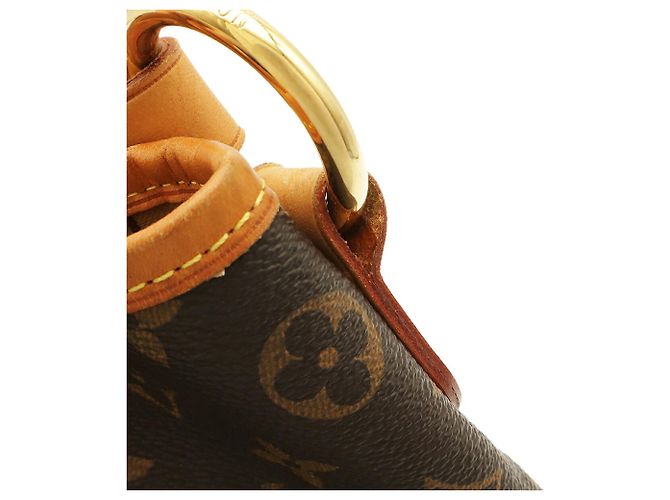 Bolso de hombro Louis Vuitton Monogram Delightful PM Castaño Monograma - vista 6