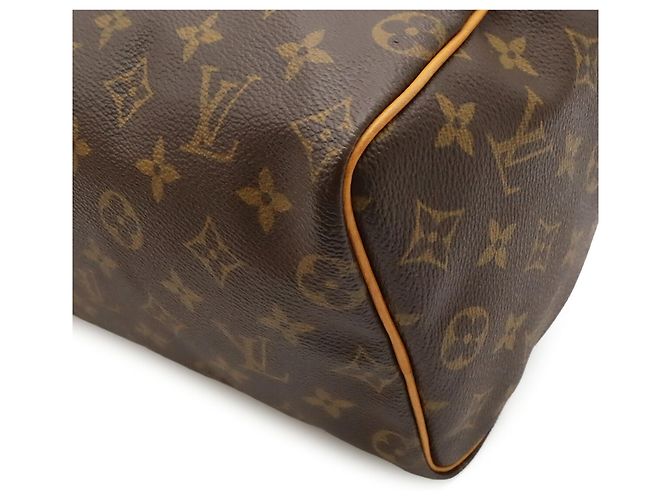 Borsa Louis Vuitton Monogram Speedy 25 Marrone - vista 4