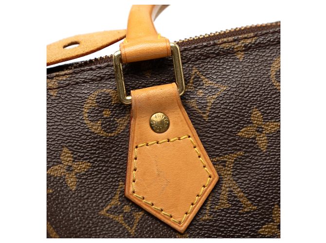Louis Vuitton Brown Monogram Speedy 30 Marrone - vista 6
