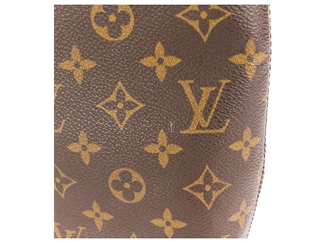 Bolso Tote Louis Vuitton Monogram Luco Castaño - vista 13
