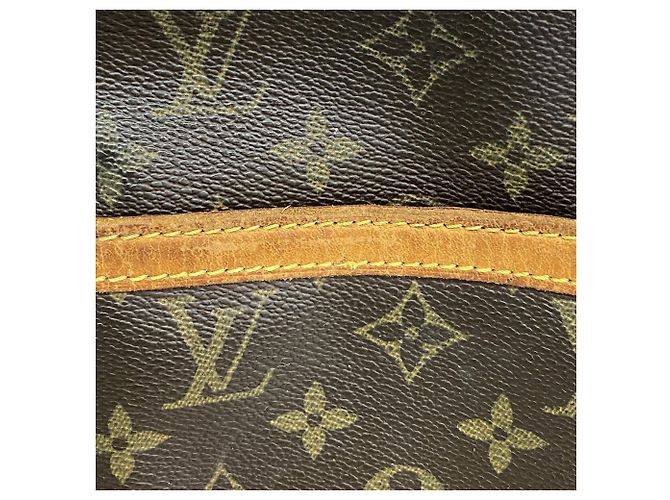 Sac à épaule Louis Vuitton Monogram Danube Marron - vue 7