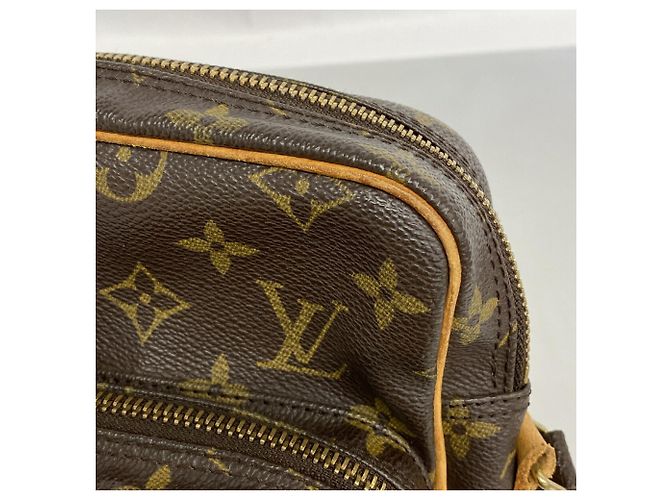 Louis Vuitton Monogram Amazon Shoulder Bag Brown - view 8