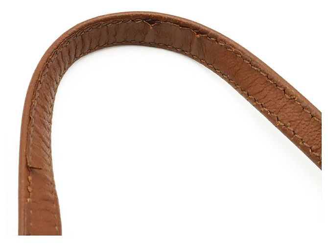 Borsa a mano Louis Vuitton Papillon 22 Marrone - vista 4