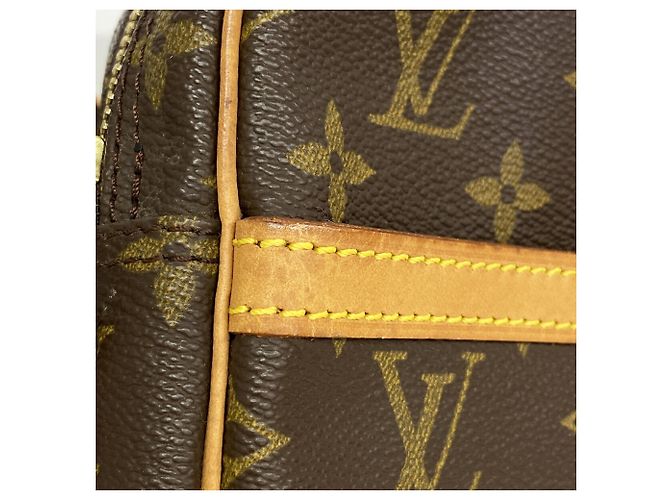 Borsa a tracolla Louis Vuitton Monogram Danube Marrone - vista 6