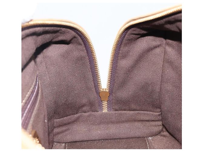Borsa a mano LOEWE Amazona 28 in pelle beige oro Auth 200000A D'oro - vista 22