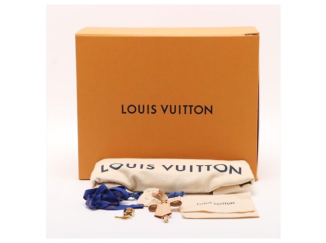 Louis Vuitton Speedy 25 Canvas Bandoulière LV x TM Trunk Handbag Monogram Multicolore - vista 11
