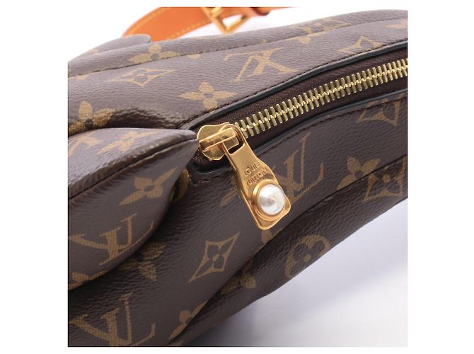 Bolsa Dolphin Louis Vuitton em couro Monogram marrom - vista 6