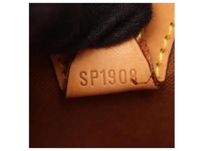Borsa Louis Vuitton Ellipse PM Marrone - vista 5