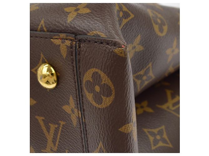 Louis Vuitton Flower Tote Monogram Canvas with Leather Marrone - vista 7