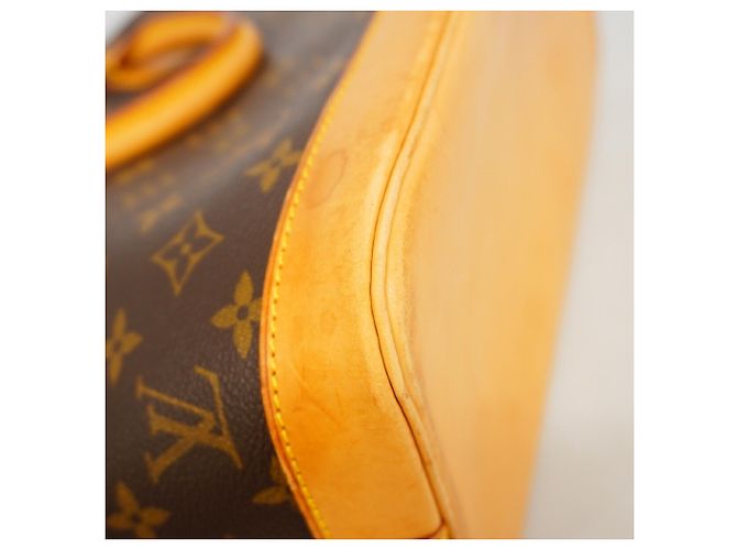 Borsa Louis Vuitton Alma Monogram Marrone - vista 6