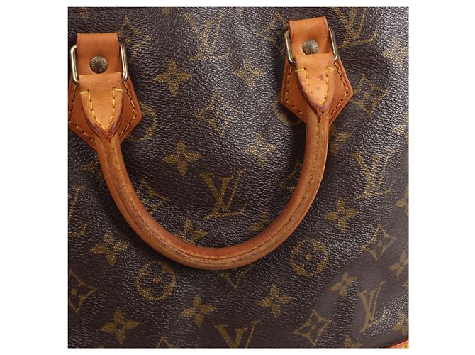 Borsa a mano Louis Vuitton Alma PM Monogram Canvas in marrone M51130 - vista 13