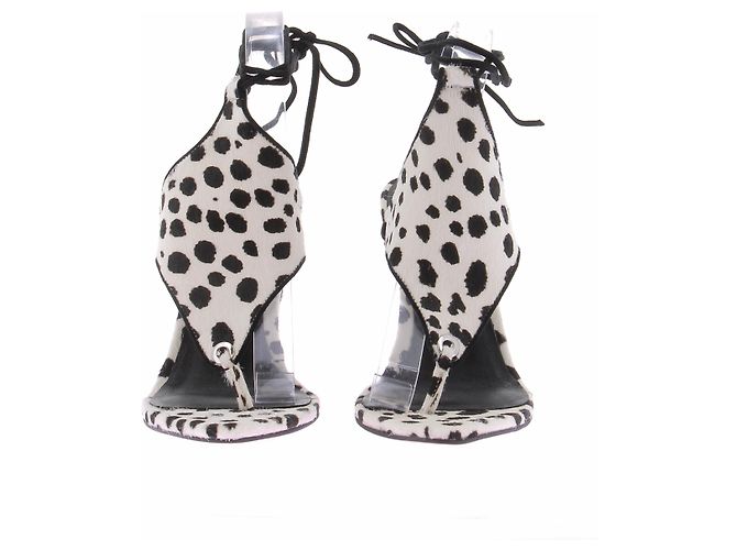 Autre Marque Tacchi Poney dalmatien Rampage Nero - vista 3