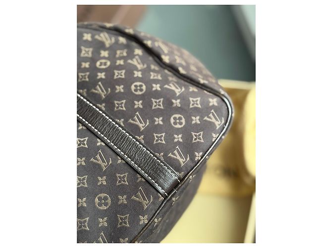 Louis Vuitton Speedy 30 Monogram Idylle Fusain Borsa a mano Marrone - vista 10