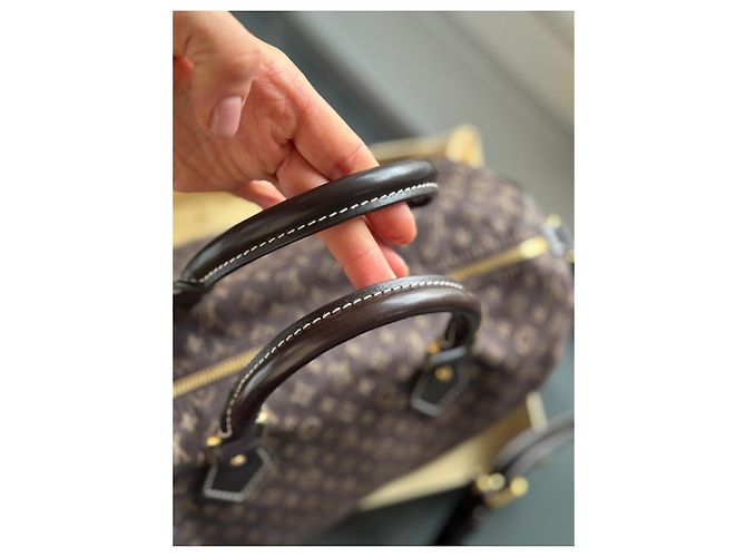 Louis Vuitton Speedy 30 Monogram Idylle Fusain Borsa a mano Marrone - vista 14