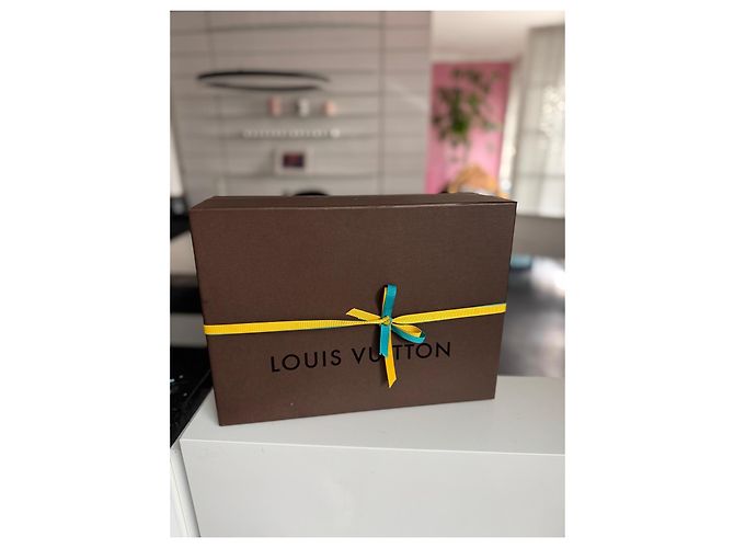 Louis Vuitton Speedy 30 Monogram Idylle Fusain Borsa a mano Marrone - vista 15