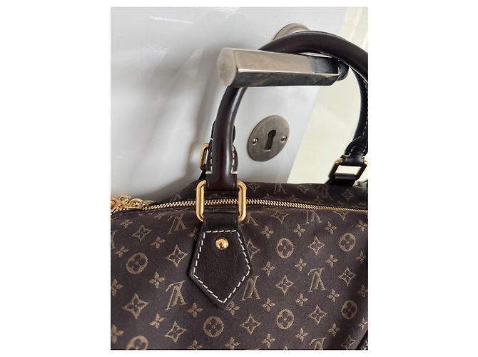 Louis Vuitton Speedy 30 Monogram Idylle Fusain Borsa a mano Marrone - vista 18