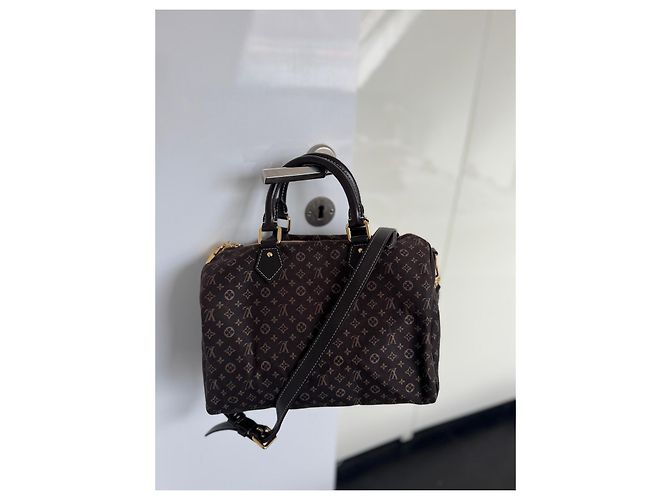 Louis Vuitton Speedy 30 Monogram Idylle Fusain Borsa a mano Marrone - vista 4