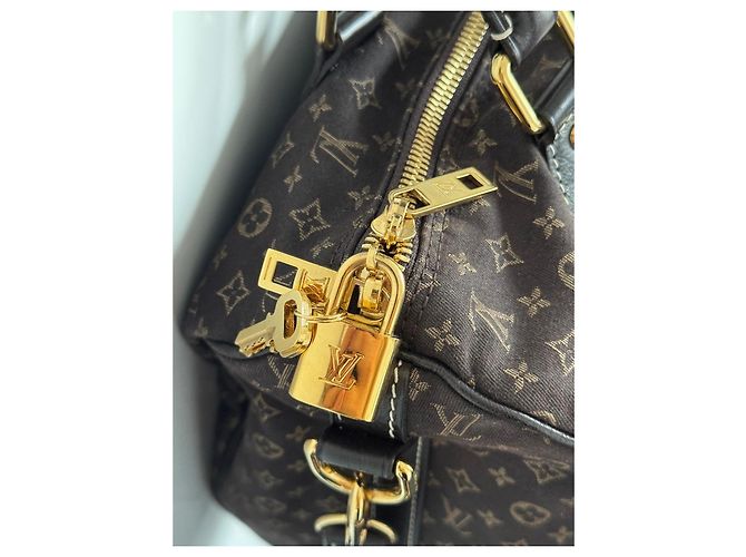 Louis Vuitton Speedy 30 Monogram Idylle Fusain Borsa a mano Marrone - vista 5