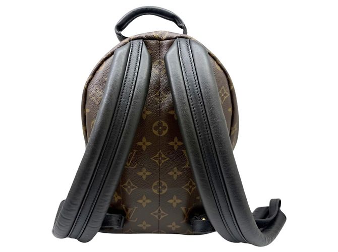 Zaino Louis Vuitton Monogram Palm Springs PM M44871 Marrone Nero - vista 2