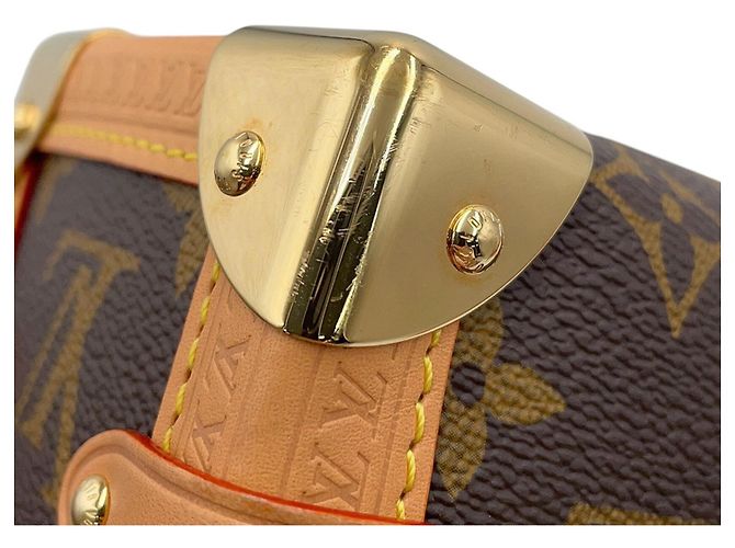 Bolso Louis Vuitton Monogram Side Trunk MM Castaño Monograma - vista 11