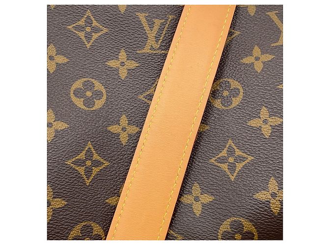 Bolso Louis Vuitton Monogram Side Trunk MM Castaño Monograma - vista 14