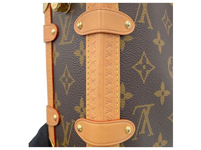Bolso Louis Vuitton Monogram Side Trunk MM Castaño Monograma - vista 7